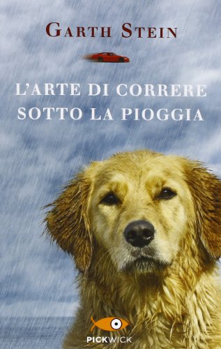 L'arte di correre sotto la pioggia