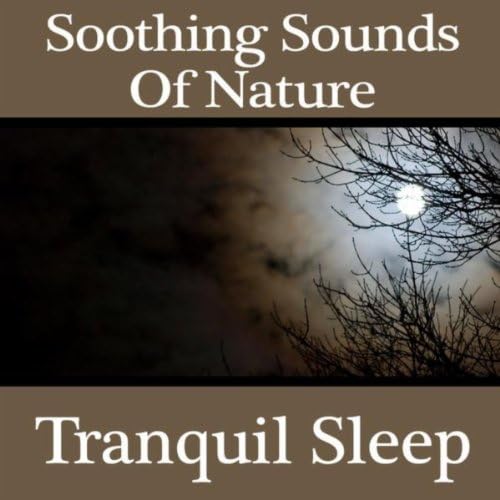 Soothing Sounds of Nature Tranquil Sleep by Pro Sound Effects Library