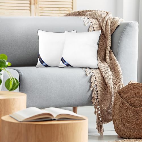 Utopia Bedding Throw Pillow Inserts (Pack of 2, White), 12 x 12 Inches Decorative Indoor Pillows for Sofa, Bed, Couch, Cushion Sham Stuffer