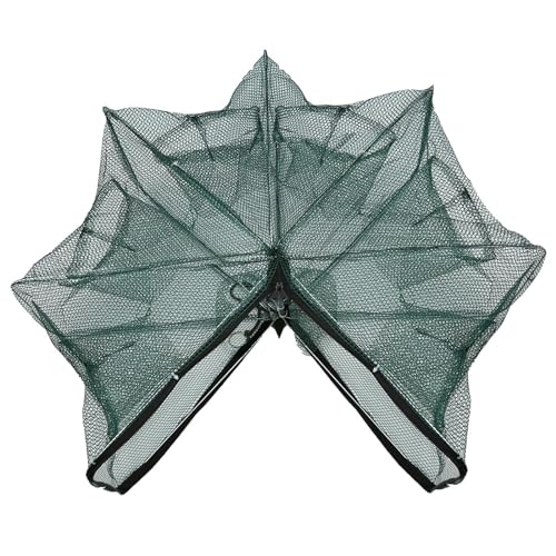 Cyrank Armadilhas de 6/12 furos para peixes de isca, armadilha de rede de pesca com rede de fundição dobrável, isca de armadilha para caranguejos para apanhar peixes de isca pequenos (6 orifícios)