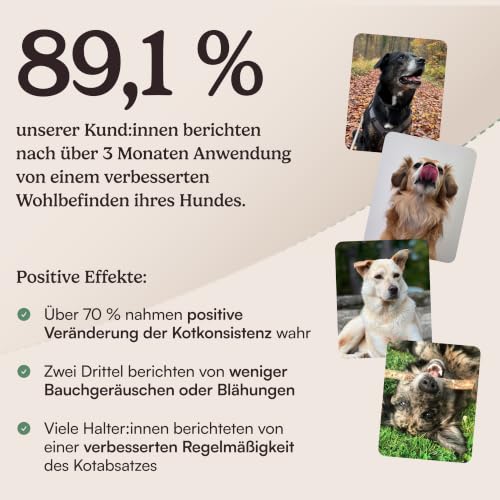 Hunderunde Futtertopping Bauchbalance 250g Magen & Darm