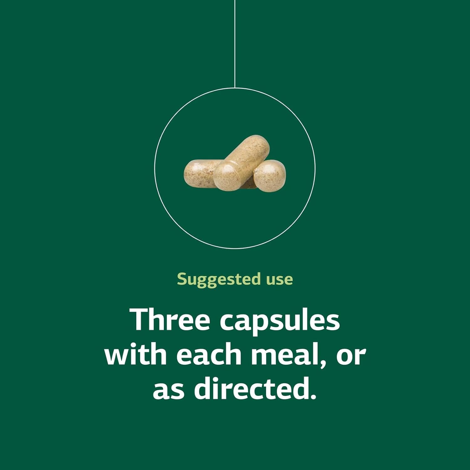 Standard Process Inc. Congaplex, Thymus Gland Support Supplement, Support Immune Health with Calcium Lactate, Magnesium, Vitamin C & Vitamin A, Immune System Aid with Mushroom Powder - 90 Capsules - Image 5