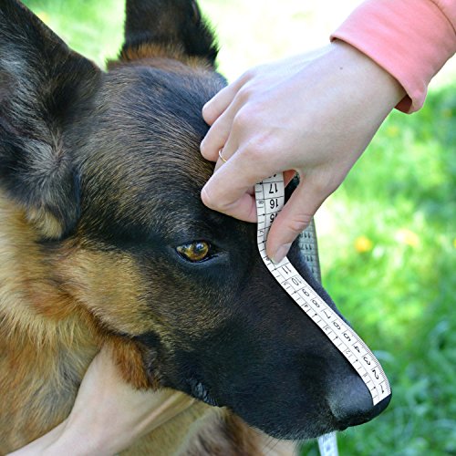 Bronzedog Wire Dog Muzzle German Shepherd For Medium Large Dogs Adjustable Durable Metal Basket For Biting Chewing Barking (M) #TOP7