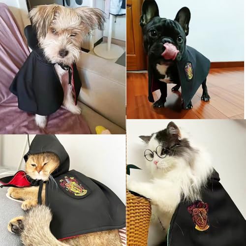 Disfraz Halloween Magician para Perros y Gatos Tamaño M miniatura 6