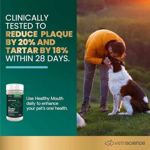 Image of VetriScience Dental Care Powder,Perio Support Clinically Tested Dental Supplement for Small,Medium and Large Breed Dogs,Freshen Breath,Control Plaque and Tartar,Oral Health,4.2 oz,(Pack of 2)