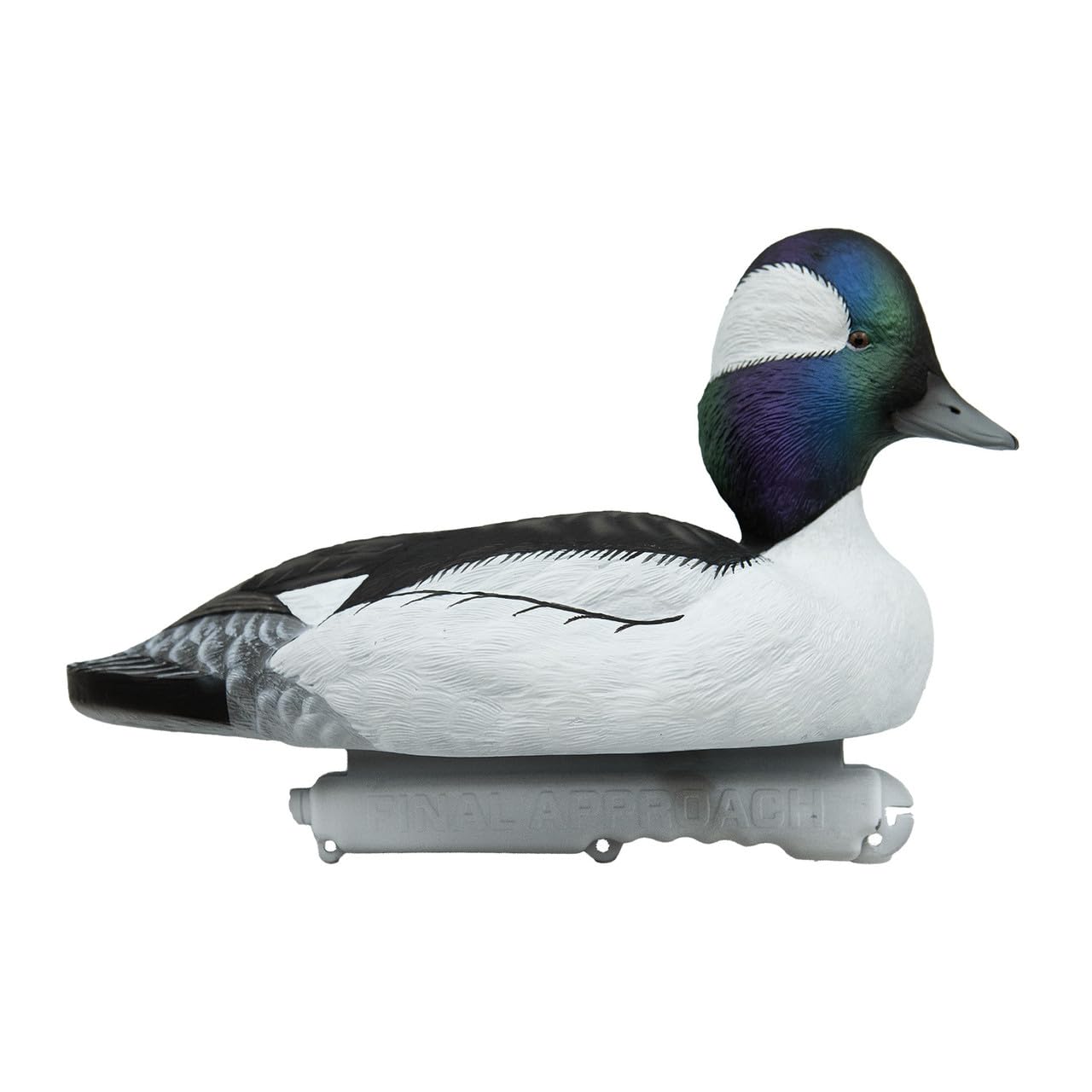 Final Approach Live Bufflehead Floating Duck Decoys, 6 Pack