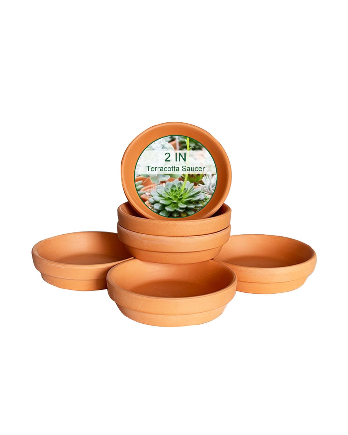 Photo 1 of 1.9 Inch Terracotta Plant Saucer - 6 Pcs Mini Terra Cotta Saucer for Indoor & Outdoor Plants, Plant Drip Trays Perfect for 1 Inch 1.5 Inch Flower Pots