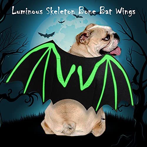 Itessy Dog Halloween Costumes, Cool Luminous Skeleton Bone Bat Wings Cosplay Cat Pets Costumes Dress Up Apparel Accessories For Kitten Puppies, M #TOP3