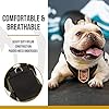 OneTigris-Dog-Pack-Backpack-Durable-Small-Medium-Dog-Pack-with-Litter-Bag-Exit-for-Camping-Hiking-Daily-Walking-Ranger-Green-X-Small Adventure Companion - OneTigris Dog Pack: Durable Dog Pack for Camping, Hiking & Walking