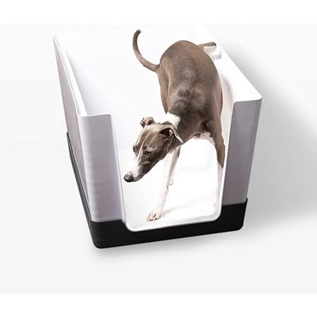 pop up pee pad amazon