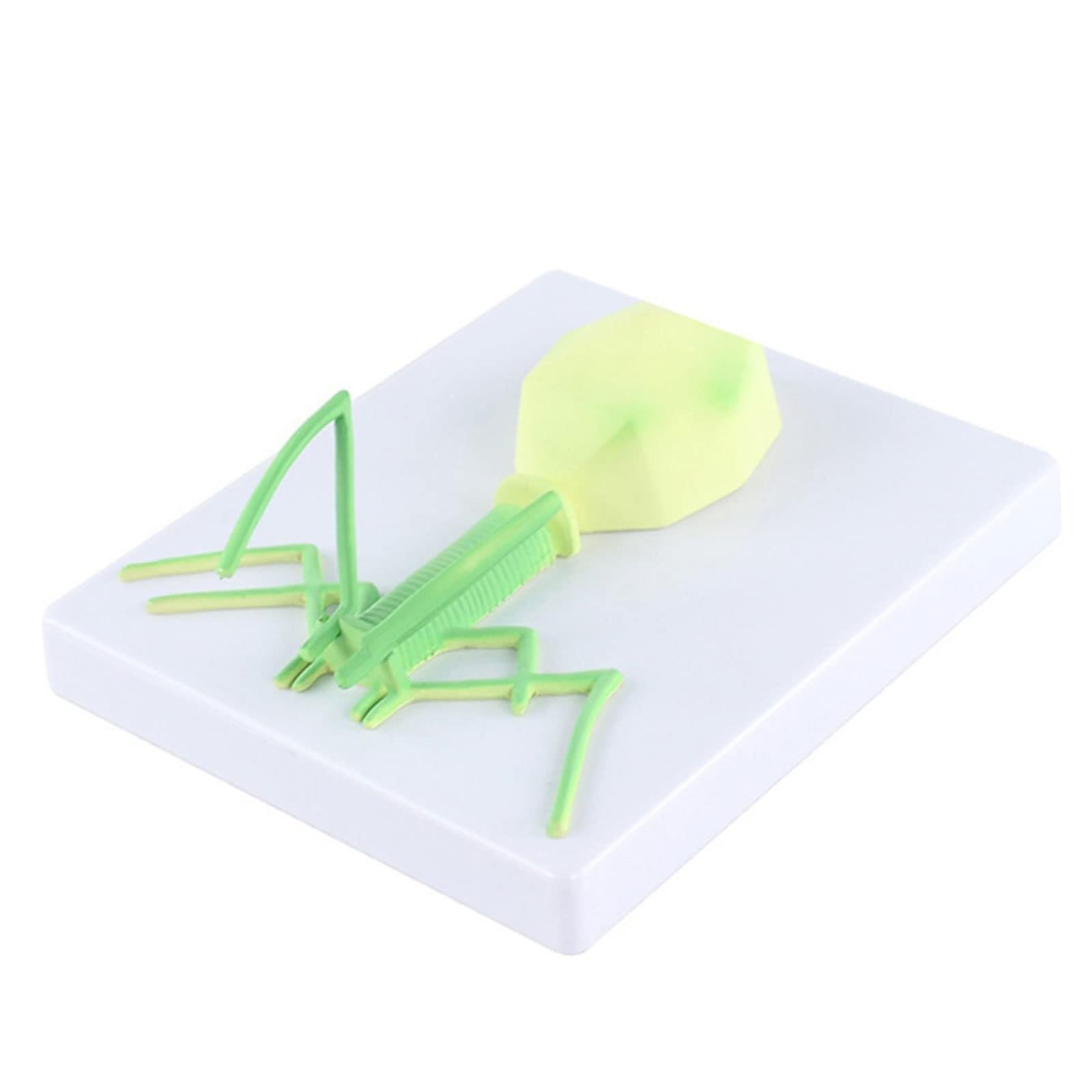 VERIMP Bacteriophage Virus Model Virus Structure Model Virus Model Bacteriophage Phage Model Microbiology Teaching for Science Classroom Study Display Medical Collectibles Teaching Tool
