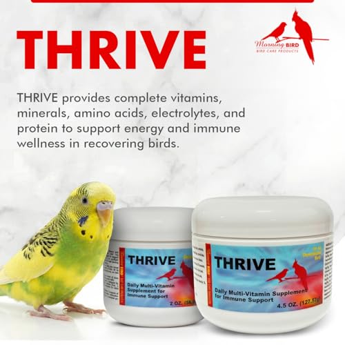 Morning Bird Thrive 2 oz – Daily Multi-Vitamin Bird Supplement for Immune & Recovery Support – Ideal for Sick, Injured, or Recovering Birds – Energy & Wellness Formula for Adult Birds - Image 2