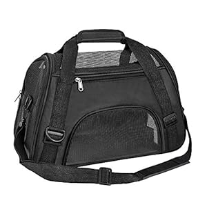 TIYOLAT Fluggesellschaft-Zugelassene Haustier-Tragetasche