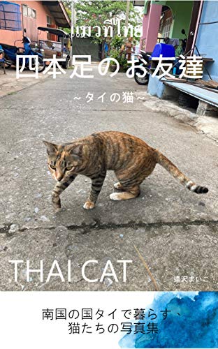 四本足のお友達 タイの猫 Thai Cat 逢沢まいこ 写真 Kindleストア Amazon