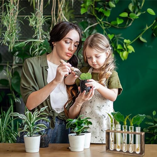Akamino 15 Pcs Clear Test Tubes for Plant Propagation Station, Acrylic Test Tubes for Scientific Experiments,20 ml Round Bottom Test Tubes for Hydroponic Flowers Home Office -0.78\" Diameter