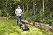 BLACK+DECKER 38cm CLM3820L2 Height Adjustment