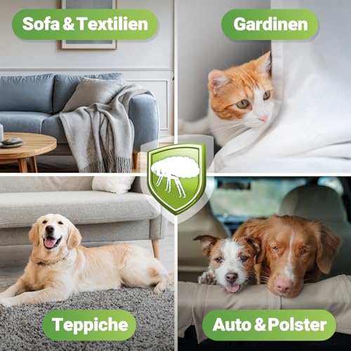 HomeBugProtect Floh Spray 500ml - effektive Floh Abwehr für Wohnung und Möbel - Anti Flohmittel als Umgebungsspray gegen Flöhe im Haushalt