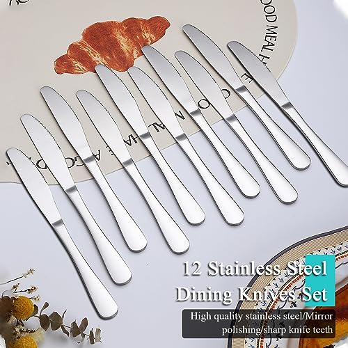 Evanda Dinner Knives 12 Pieces, Table Knife, Stainless Steel Steak Knives Cutlery Set, Butter Knives Set, Dishwasher safe, 1.silver - Image 3