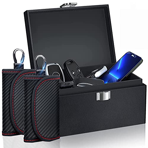 Editor's Pick Best faraday box of 2022 licorize