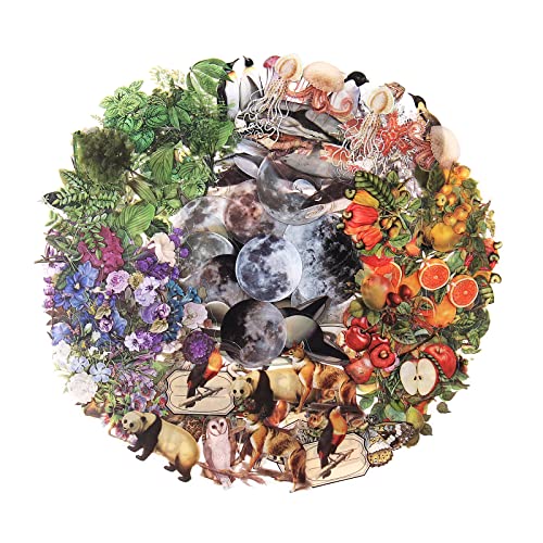 NOGAMOGA Nature Themed Transparent Pre-Cut Stickers for Scrapbooking, Pack of 240, Flora and Fauna Vintage Aesthetic Decorative Decals for Journaling Photo Album Collage Card Making Crafts