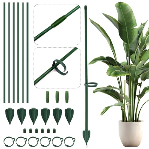 TZEKING 6 Pièces Tuteur pour Plantes 6.3mm x 30cm – Tuteurs en Fibre de Verre Résistants avec Rallonges, Piquets & Clips – Support pour Orchidées, Roses, Monstera – Résistant aux Intempéries
