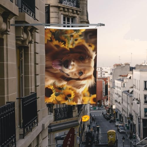 Drapeau extérieur double face solide qui ne décolore pas au soleil