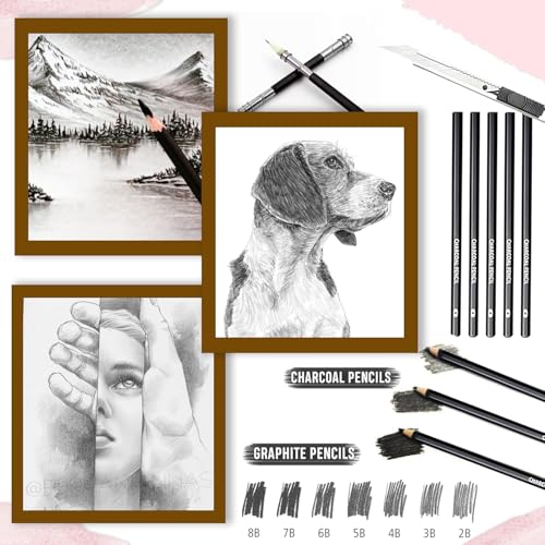 Image of Sketch Pencil Set, Drawing Pencil Set and Shading Pencils Sets for Artists, Perfect Sketching Kit of Charcoal Pencils and Shading Art with Carry Box (50 Pieces)