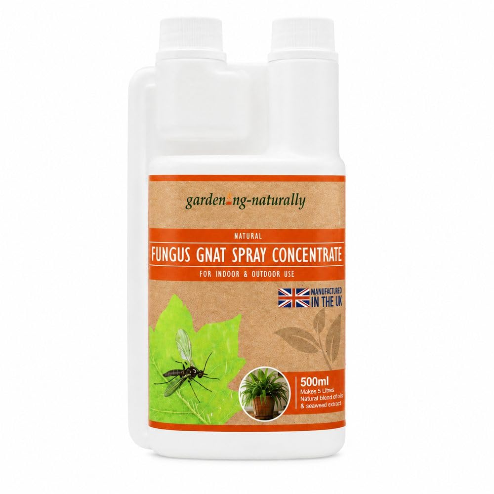 Natural Fungus Gnat Spray or Concentrate for Indoor and Outdoor Plants, with Seaweed Extract, Ready to Use 250ml or 500ml Makes 5L (500ml Spray Concentrate)