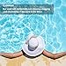 Palmetto Pool Filter Sand for Residential & Commercial Sand Filter Pumps, 50 Lbs
