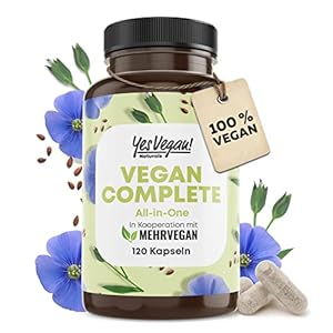 Vegan Multivitamin & Mineralien mit 14 Vitaminen u.a. B12, Jod, Eisen, Cholin (120 Kapseln hochdosiert) für Veganer & Vegetarier – Vegan Supplements – Vegetarier Vitamine – Multivitamin vegan