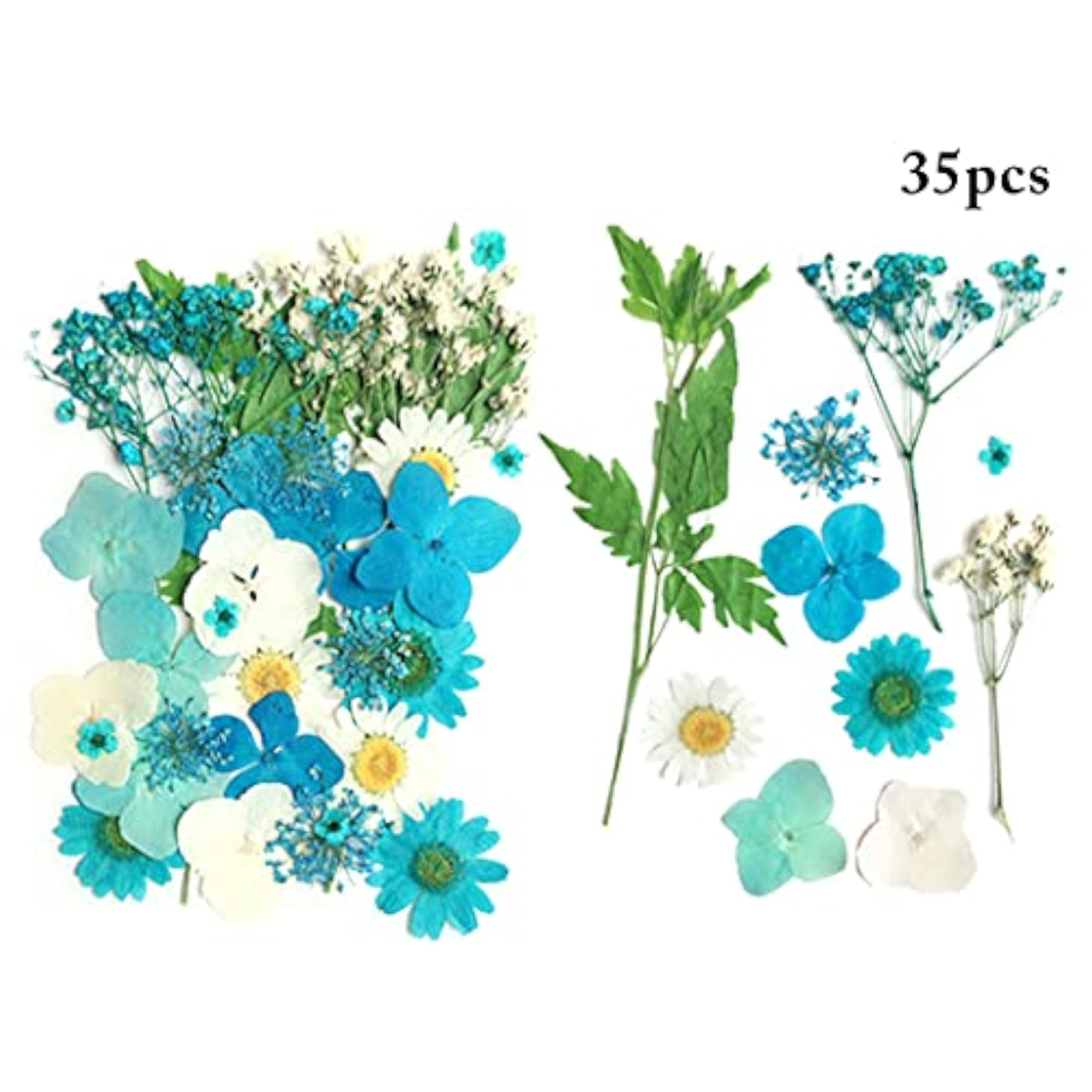 Real Dried Flower Set DIY Decorative Nature Dry Flower
