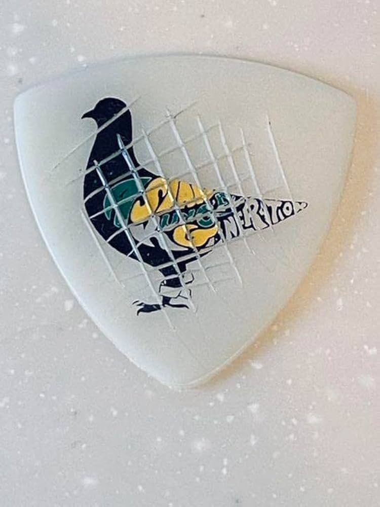 Asian kung-fu generation アジカン　ピック Amazon.co.jp: ASIAN KUNG-FU GENERATION アジカン 山田貴洋