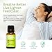 Uncle Harry’s Natural Products Breathing Mix Essential Oil Aromatherapy Synergy Blend, Crisp Pure Steam Distilled Plant Essences for Decongestion, 1 Fluid Ounce