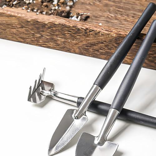 Set de herramientas de jardinería 3 piezas para plantas miniatura 6
