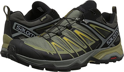 Salomon X Ultra 3 Gore-Tex (wasserdicht) Herren Trekking- & Wanderschuhe, Grau (Castor Gray/Beluga/Green Sulphur), 44 2/3 EU