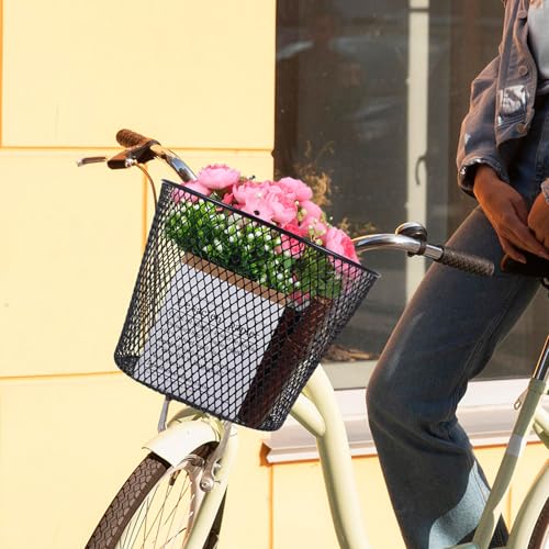 Panier de vélo en fer amovible pour vélo de montagne et transport d'accessoires