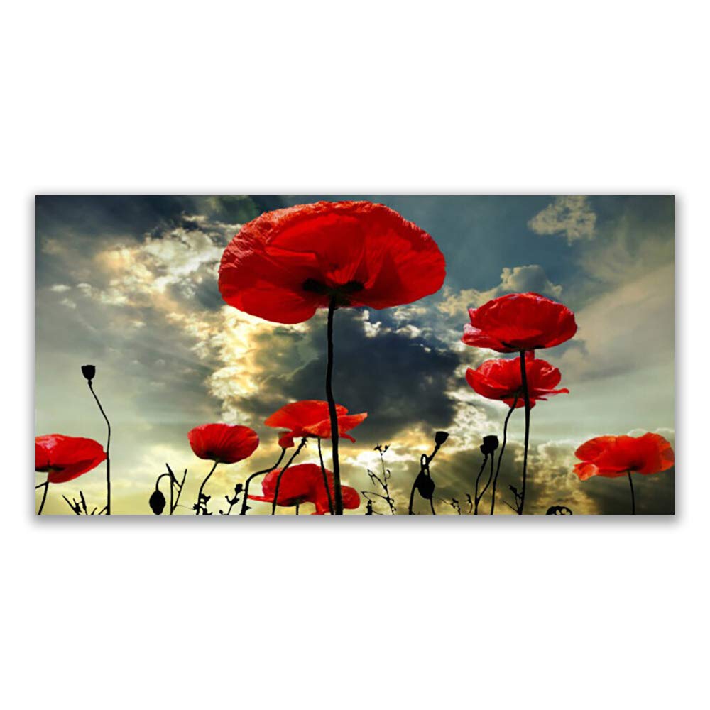 Tableau Verre Acrylique Coquelicots 120x60cm contre Murs Vides