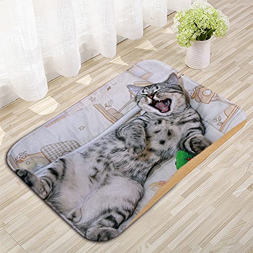LUA VIKA Zerbino ingresso esterno simpatico - Approvato dal gatto - 40x70 cm - tappeto ingresso esterno casa - zerbino cocco - zerbini divertenti, moderni e originali