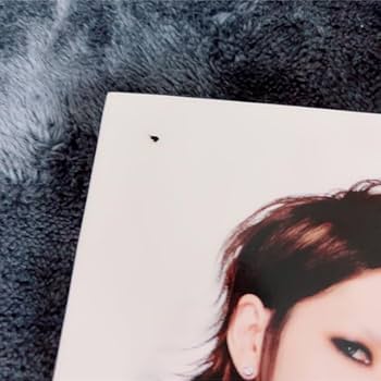 Amazon.co.jp: ガゼット the GazettE ポスター フライヤー