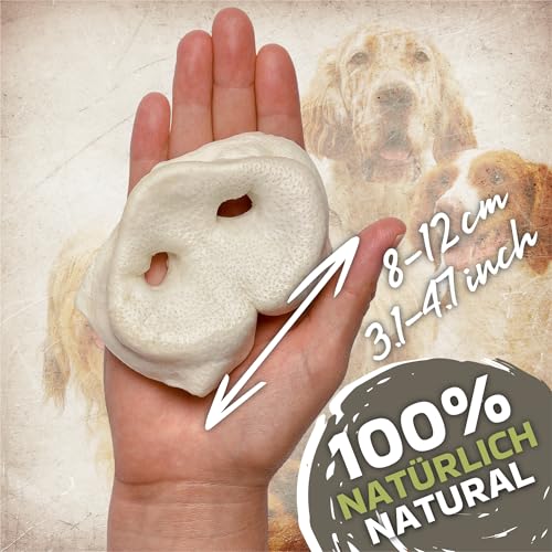 Schweinenasen für Hunde 1kg (ca. 45-55 Stück) | Getrocknete Schweinenasen Kausnack | 100% natürlich | Getreidefrei | Luftgetrocknet | Kauartikel für kleine & große Hunde