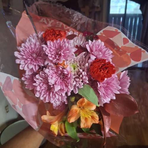 Episode 23 - OUR REAL VOICE CHECCIN IN