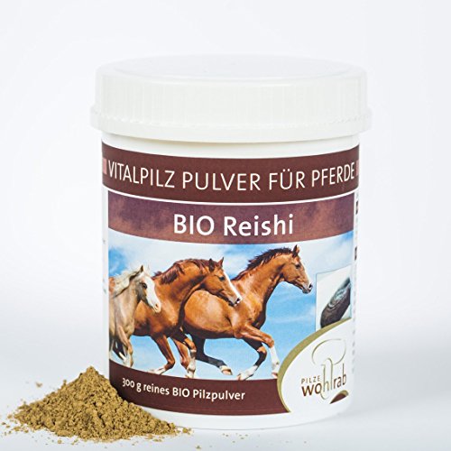 Reishi Vitalpilz Pulver Bio für Pferde 300g Cover