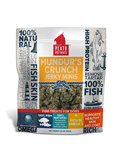 Hundur s Crunch Single Ingredient Cod Skin Dog Treats – Minis