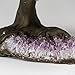 The Protection Tree - Medium Genuine Amethyst Clustered Gemstone Tree on Amethyst Matrix