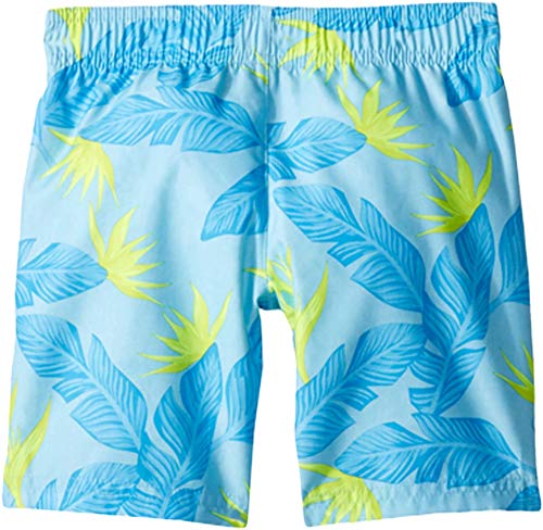 Image of Hurley Baby Boys' Swim Suit 2-Piece Outfit Set