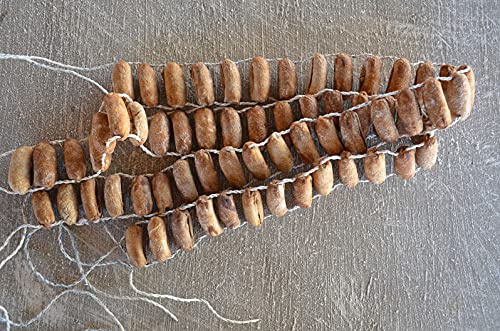Traditionelle Beinrasseln im afrikanischen Stammesstil, Dilwana Seidenmotten-Kokons