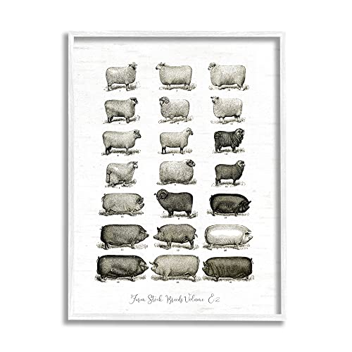 Image of Farm Animal Breeds Diagram Chart, 16 x 20 Inch Framed Giclee Print | Stupell Industries . By Lettered and Lined . Ready to hang . Great for farmhouse decor . Made in USA