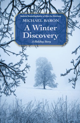 Winter Discovery view 2