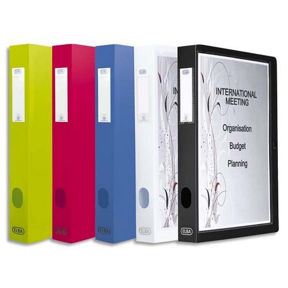 ElbaPolyvision Personalised Storage Box 24 x 32 cm 4 cm Spine Opaque Assorted Colours (Pack of 8)