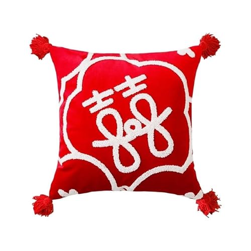 AOWEMBD 1pc Wedding Pillows Room Decoration Red Pillowcases 45x45 Embroidery Pillow With Auspicious Characters Festive Cushions(Color A-45x45cm)